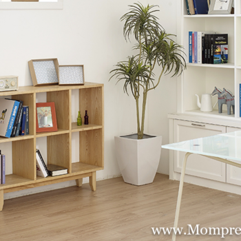 Everything You Need for the Perfect Home Office