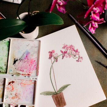 3 Incredible Business Ideas For The Older Mom